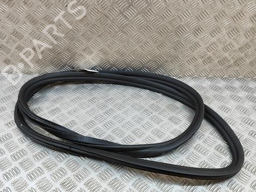 Gummiliste BMW 5 (G30, F90) 530 e Plug-in Hybrid (252 hp) 17864793