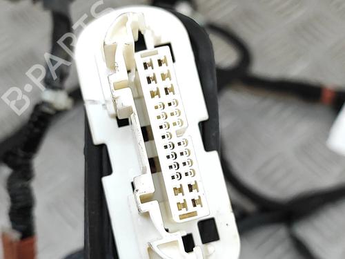 Wiring harness LEXUS NX (_Z1_) 300h AWD (AYZ15, AYZ15_, AYZ15R) | BP28028829E16 