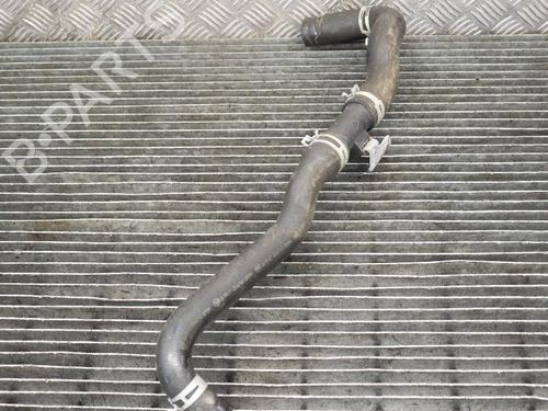 Pipe NISSAN JUKE (F15) 1.5 dCi | BP14667445M125