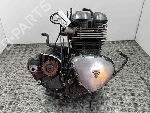 Motor TRIUMPH MOTORCYCLES THRUXTON Thruxton 900 (986ME2) (69 hp) 28562745