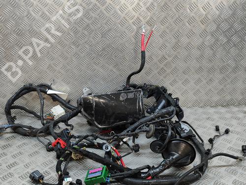 Used Wiring harness POLESTAR POLESTAR 2 (534) EV (224 hp) 28549924