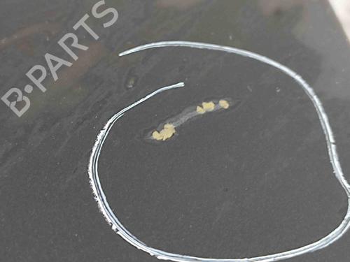 Tailgate VW PASSAT B7 (362) 1.6 TDI | BP29752862C6 