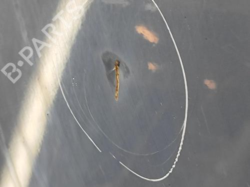 Dør venstre bagtil MERCEDES-BENZ SPRINTER 3-t Van (B910) 214 CDI (910.621, 910.623) | BP30108195C4 