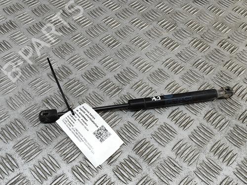 Used Hood lift support LAND ROVER FREELANDER 2 (L359) 2.2 TD4 4x4 (150 hp) 27531991