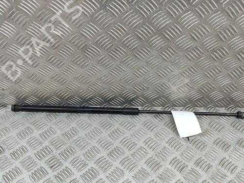 Hood lift support VW TOUAREG (7P5, 7P6) 3.0 V6 TDI | BP21486773C139 