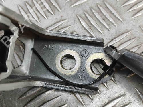 Hinge/Door check strap NISSAN ARIYA (FE0) EV e-4ORCE | BP29336928C146 