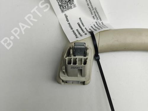 Håndtag i tag VW PASSAT B8 (3G2, CB2) 2.0 TDI | BP37698731I35  - Image 5