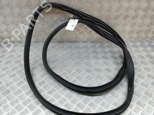 Gummiliste TESLA MODEL X (5YJX) P100D AWD | BP25217854C142 