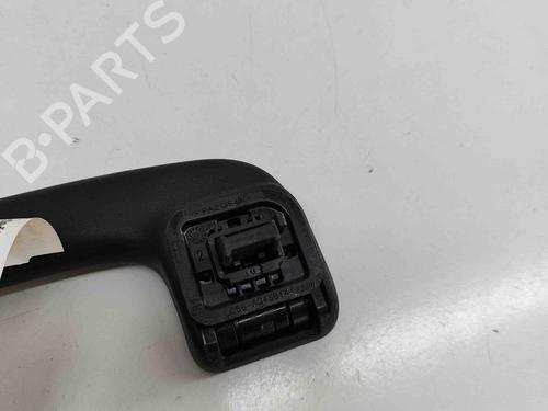 Interior roof handle FORD KUGA III (DFK) 2.5 Duratec Plug-in-Hybrid | BP29487236I35