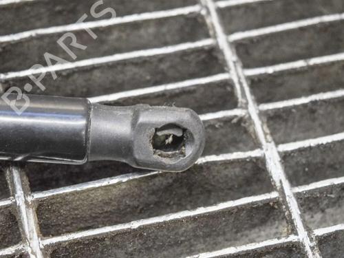 Tailgate lift support AUDI A4 B9 Avant (8W5, 8WD) 2.0 TDI | BP14611124C138