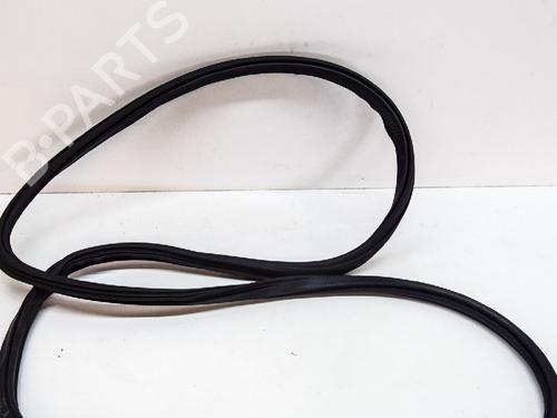 Rubber door seal AUDI Q5 (FYB, FYG) 2.0 TFSI quattro | BP14616585C142 