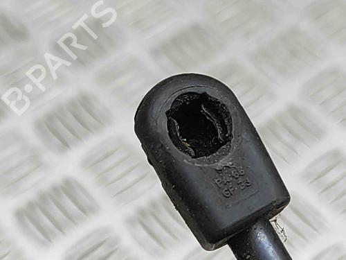 Hood lift support BMW X3 (F25) xDrive 20 d | BP29310462C139 