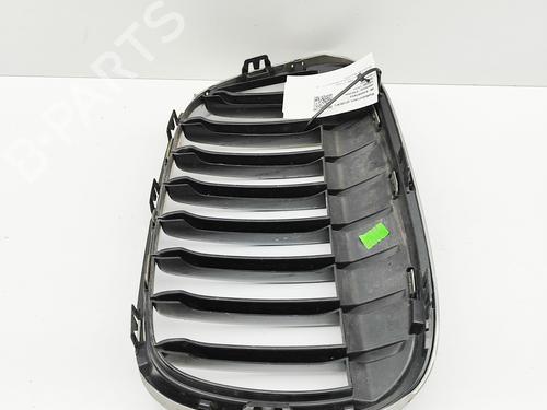 Grille BMW X1 (F48) sDrive 18 d | BP29730920C40 