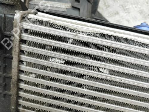 Intercooler DS DS 7 Crossback (J4_, JR_, JC_) 2.0 BlueHDi 180 (JJEHZR) | BP33385448M30  - Image 9