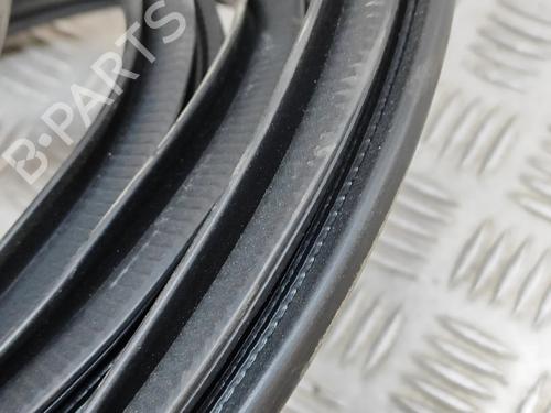 Rubber door seal LEXUS UX (_AA1_, _AH1_, _MA1_) 250h (MZAH10) | BP27788688C142 