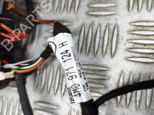 Electronic module AUDI Q7 (4MB, 4MG, 4MQ) 3.0 TFSI quattro | BP21486589M83