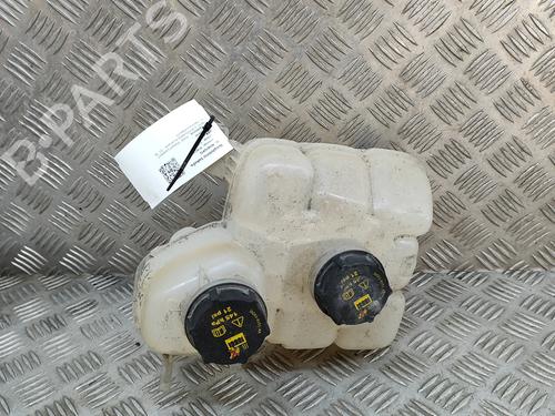 Used Expansion tank FORD TRANSIT CONNECT V408 Box Body/MPV 1.5 TDCi (120 hp) 18164887