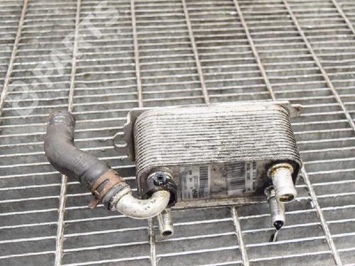 Oliekøler VOLVO V60 I (155) D3 / D4 | BP6754136M33 