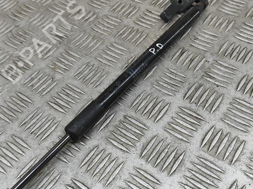 Hood lift support LEXUS NX (_Z1_) 300h AWD (AYZ15_, AYZ15R) | BP28432685C139