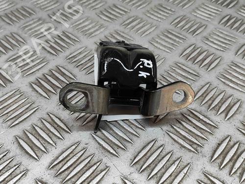 Hinge/Door check strap NISSAN JUKE (F16_) DIG-T 117 | BP27774831C146