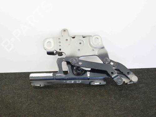 Used Hinge/Door check strap BMW 4 Gran Coupe (F36) 435 d xDrive (313 hp) 14667813