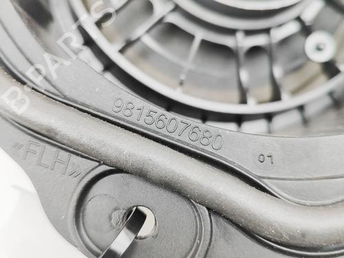 Speaker PEUGEOT 508 II (FB_, FH_, F3_) Hybrid 225 (F35GQU) | BP29975323E2