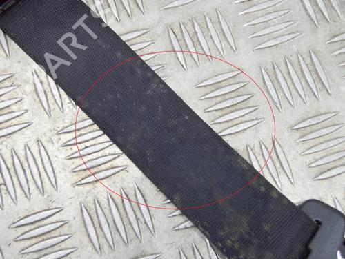  - Image 6