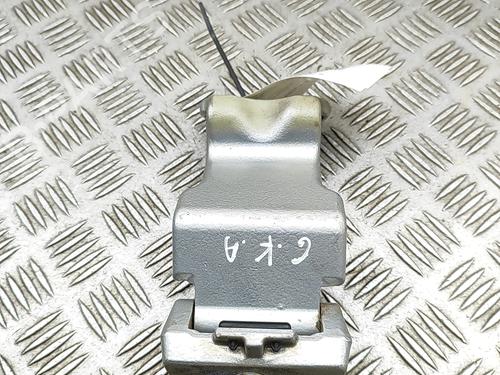 Hinge/Door check strap FORD TRANSIT V363 Van (FCD, FDD) 2.0 EcoBlue | BP30155045C146 