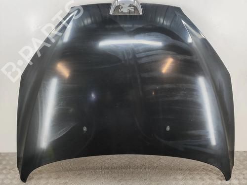 Used Hood PEUGEOT 407 Coupe (6C_) 3.0 V6 (211 hp) 28612188