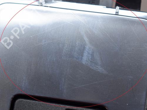 Front left interior door handle LAND ROVER RANGE ROVER SPORT I (L320) 3.0 D 4x4 | BP10186881I13 
