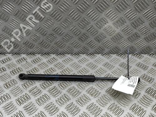 hood-lift-support-land-rover-discovery-v-l462-2016-30130783 main image