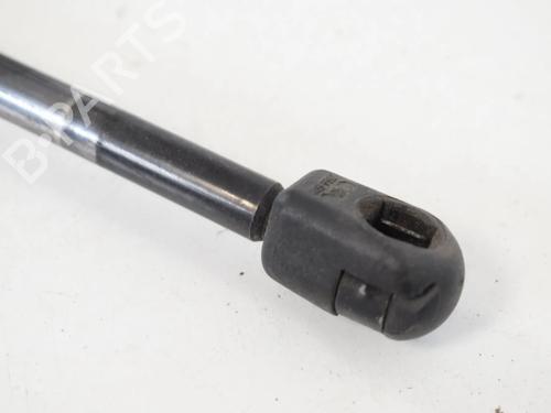 Used Tailgate lift support LAND ROVER RANGE ROVER SPORT I (L320) 3.6 D 4x4 (272 hp) 30258938