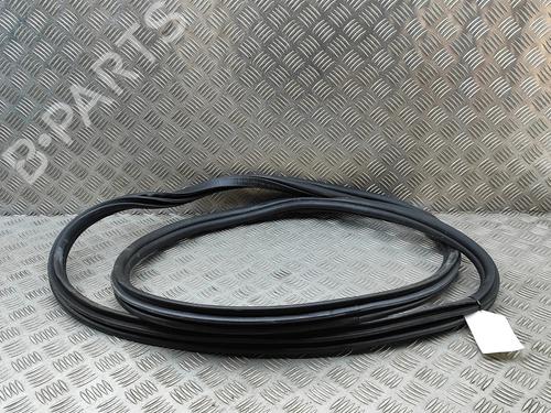 Gummiliste BMW iX (I20) xDrive 40 | BP33377549C142 - Image 2