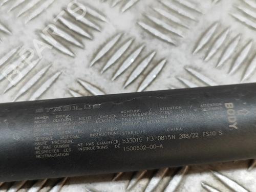 Tailgate lift support TESLA MODEL Y (5YJY) EV Rear-Wheel Drive | BP31314670C138 