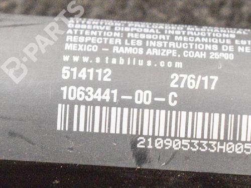 Elektronische module TESLA MODEL X (5YJX) P100D AWD | BP7797348M83 