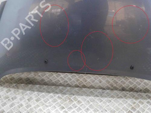 Hood PEUGEOT 207 CC (WD_) 1.6 16V Turbo | BP9227341C1