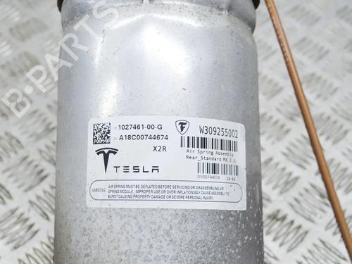 Left rear shock absorber TESLA MODEL X (5YJX) P100D AWD | BP34282032M18  - Image 7