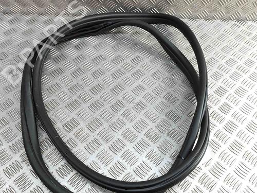 Rubber door seal BMW X1 (U11) iX1 xDrive 30 | BP28563620C142