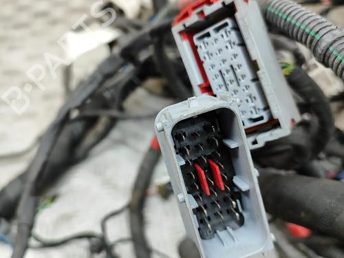 Wiring harness FERRARI CALIFORNIA 4.3 | BP32119087E16 