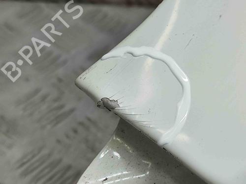 Left front fenders NISSAN QASHQAI III (J12) 1.3 DIG-T All-wheel Drive | BP29890777C41