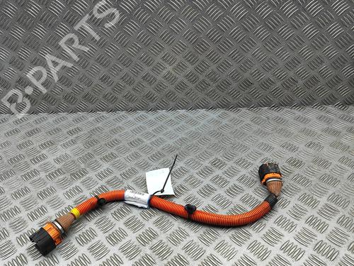 Ledningsnet Ledningsnet RENAULT ZOE (BFM_) ZOE (BFMD) (109 hp) 34282560 34282560