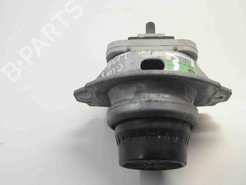 Engine mount LAND ROVER RANGE ROVER SPORT I (L320) 3.0 D 4x4 | BP30223961M89 
