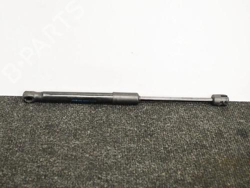 Used Hood lift support AUDI A6 C7 (4G2, 4GC) 2.0 TDI (190 hp) 14665809