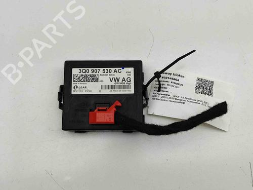 Elektronisk modul AUDI A3 Sportback (8VA, 8VF) RS3 quattro (400 hp) 29404126