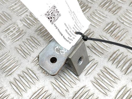 Hinge/Door check strap BMW 5 (G30, F90) 530 e Plug-in Hybrid | BP17768128C146 