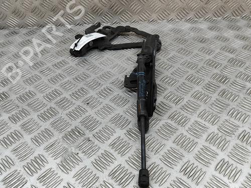 Hinge/Door check strap BMW 2 Coupe (F22, F87) M 235 i | BP24141851C146