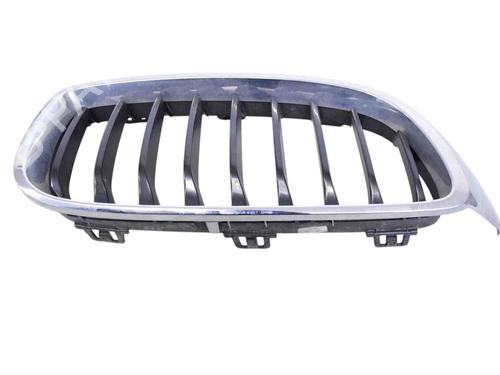 Grille FORD USA MUSTANG Coupe 5.0 302 | BP30256419C40 