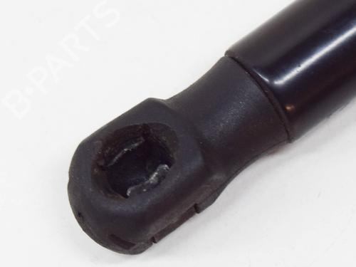 Hood lift support BMW 7 (F01, F02, F03, F04) 740 d | BP14619511C139 