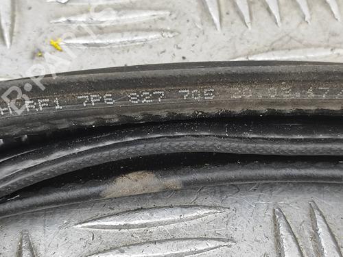 Rubber door seal VW TOUAREG (7P5, 7P6) 3.0 V6 TDI | BP28955636C142 