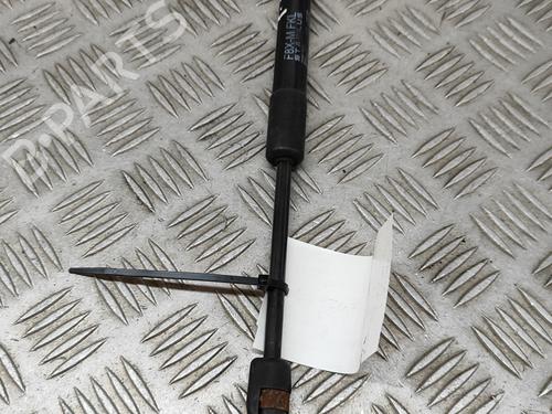 Hood lift support BMW 4 Coupe (F32, F82) M4 | BP26500485C139 